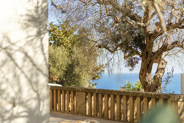 Stone railing with trees overlooking the blue ocean. A white wall with tree shadows is on the left.