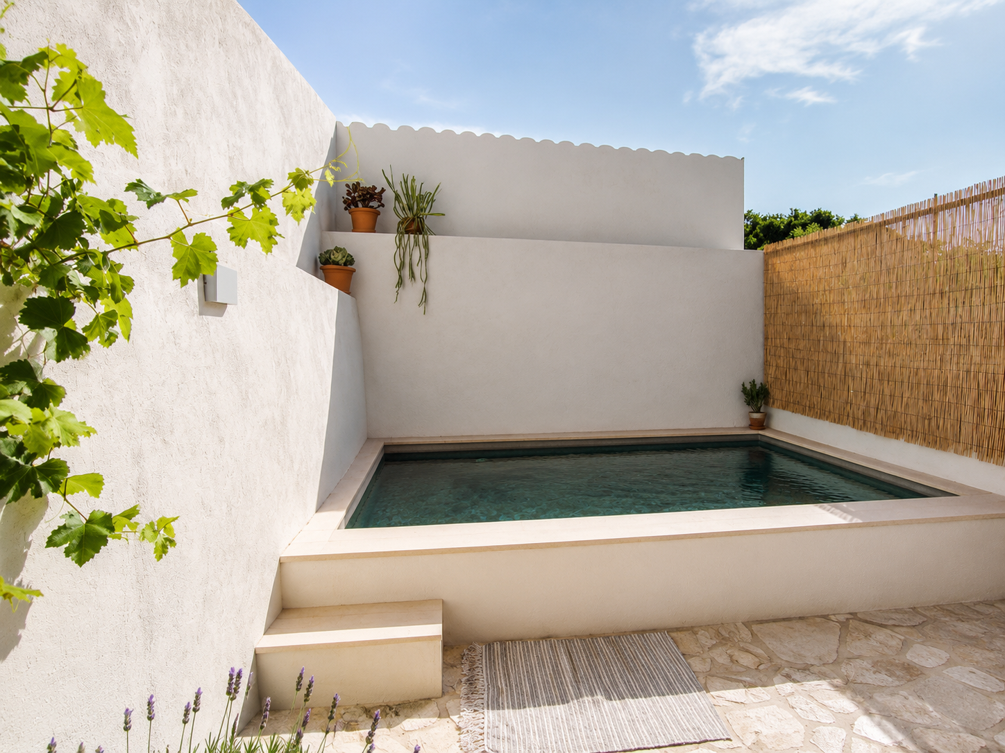 Encantadora casa de poble amb piscina i vistes despejades