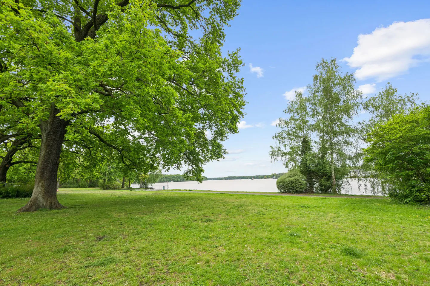 Lush green lawn with large trees leading to a lake under a blue sky.