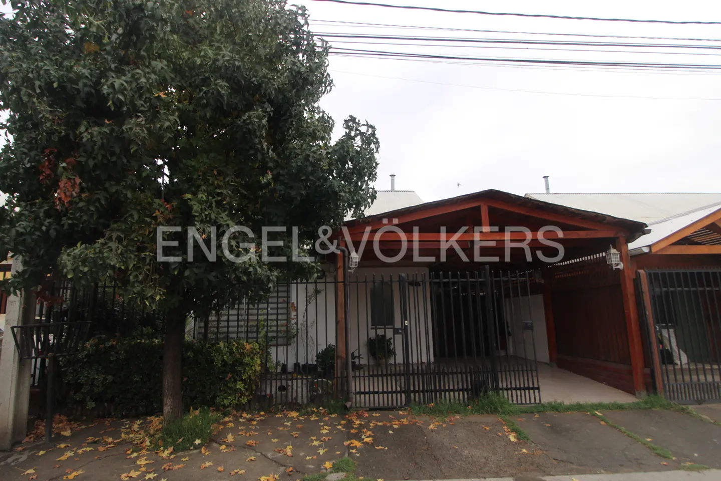 A single-story house with a carport, a black metal fence, and a large tree in the front yard. Fallen leaves are scattered on the ground.