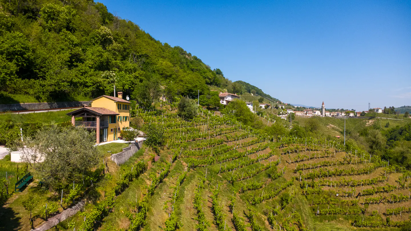 Hillside view of a yellow house with a brown roof, surrounded by green vineyards and trees under a clear blue sky.