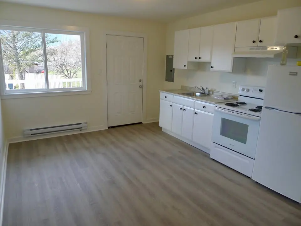 Bright, empty apartment with white cabinets, appliances, and light wood-look flooring. A window and door are on the left.