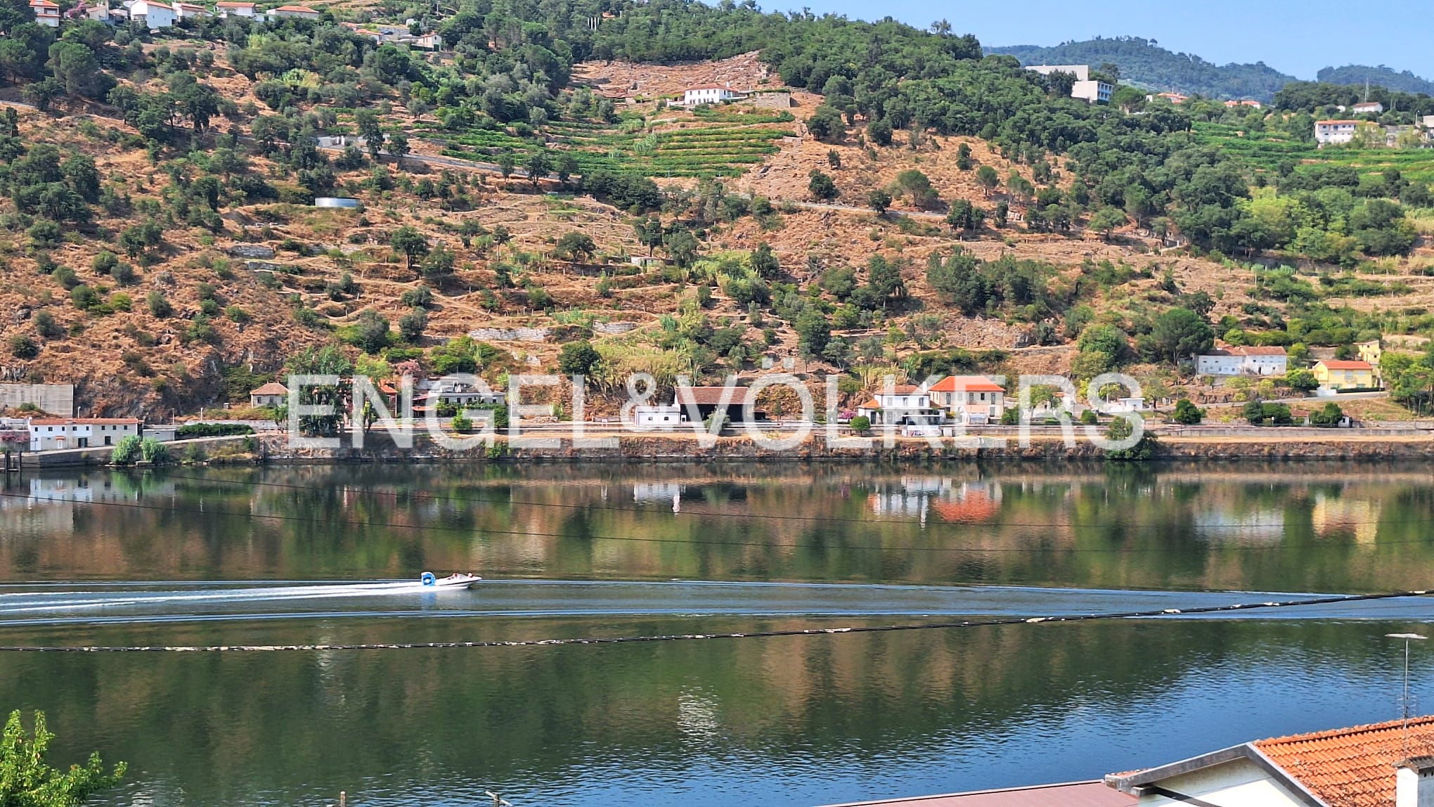 Land with 4000m² near the Douro River