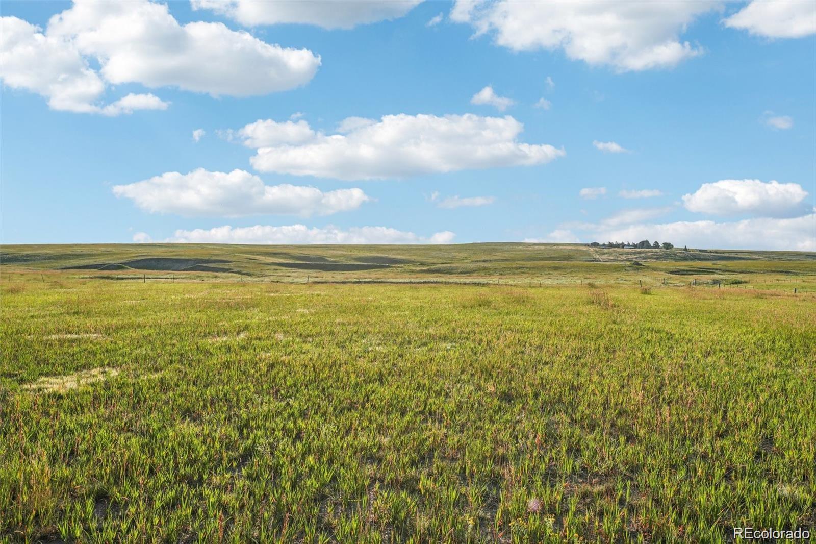 Grasslands with Mountain Views