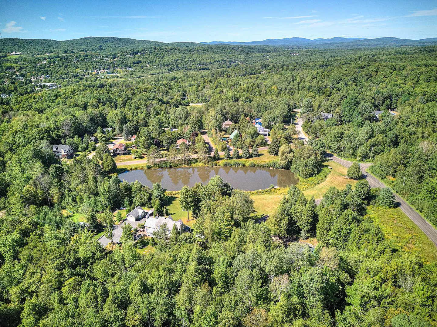 Aerial view of a pond surrounded by green trees and houses under a blue sky.
