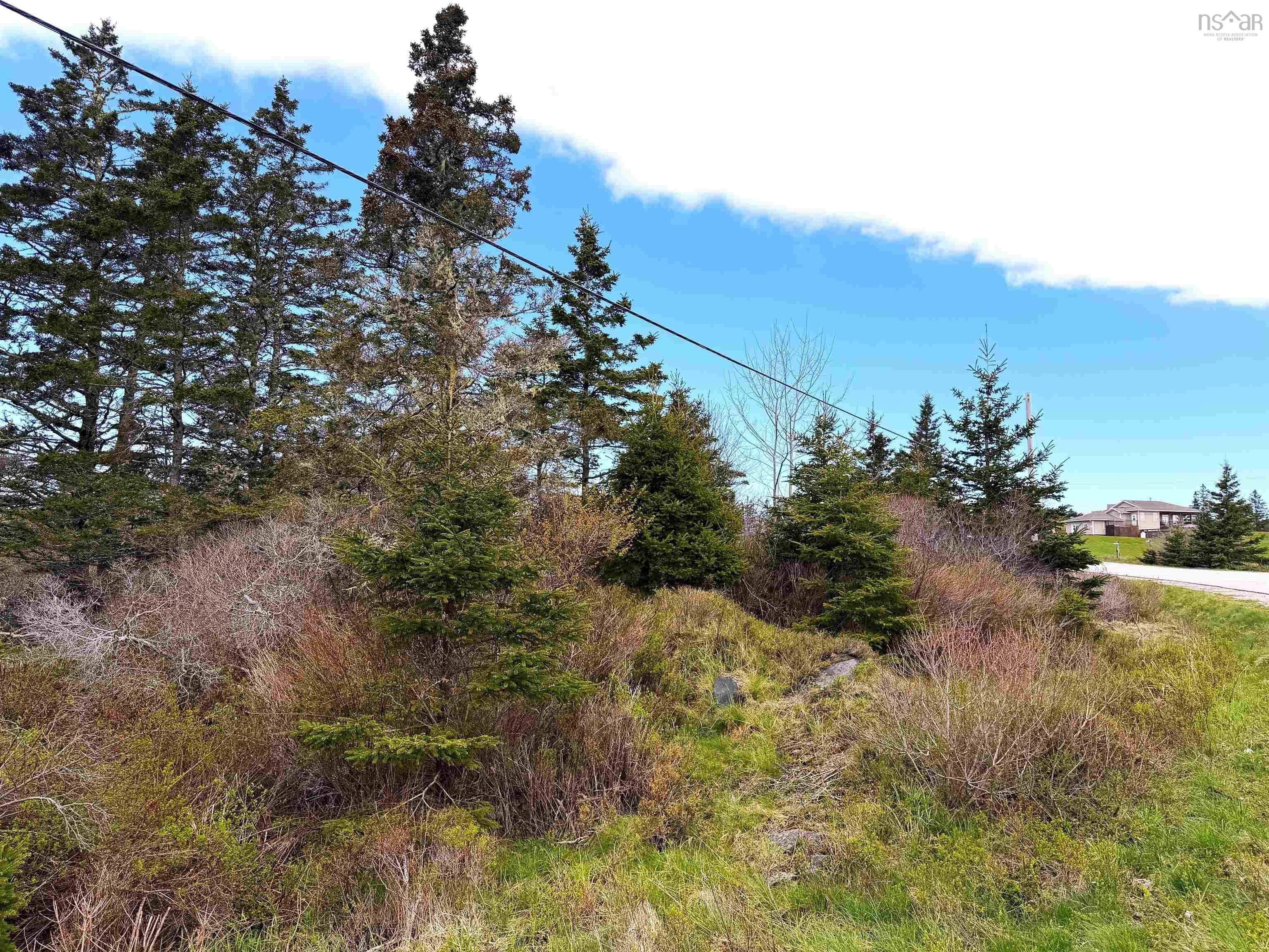 4.89 Acre Lot. Location, Space and Endless Potential