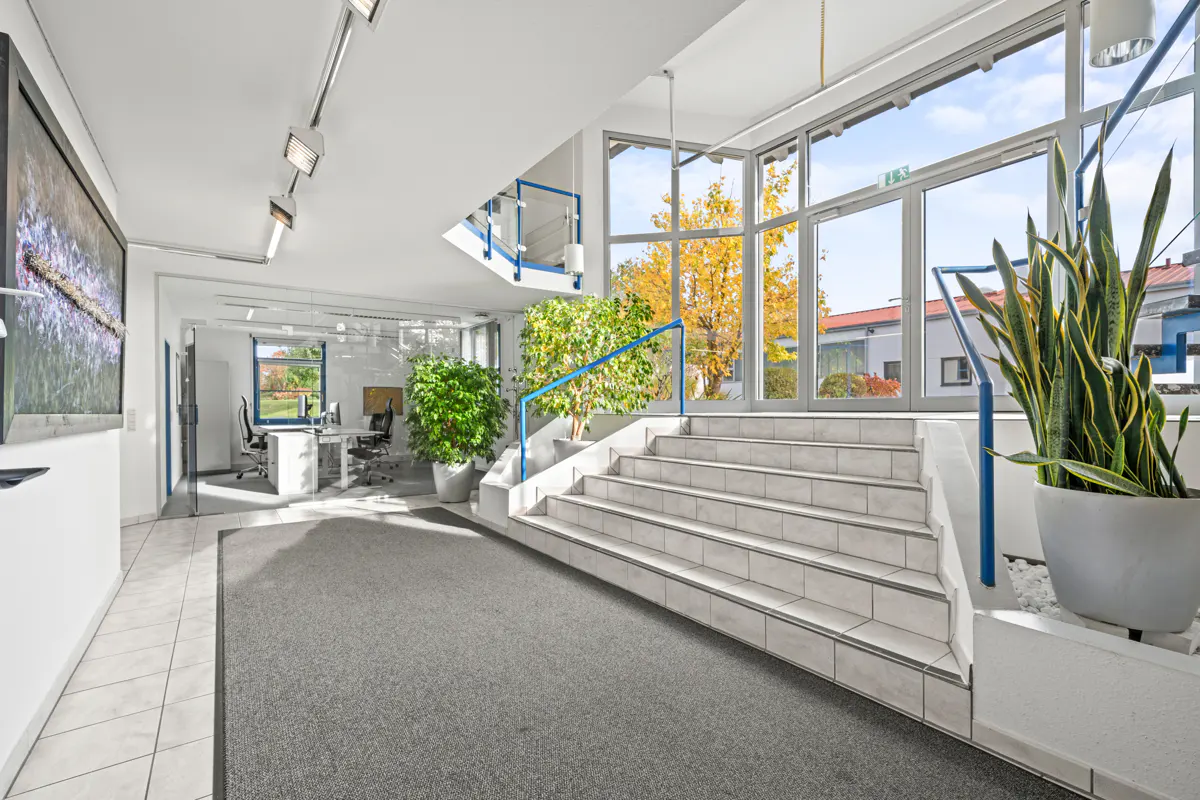 Bright office lobby with gray carpet, white tile stairs, and blue railings. Large windows show trees and buildings outside. Plants in pots add greenery.