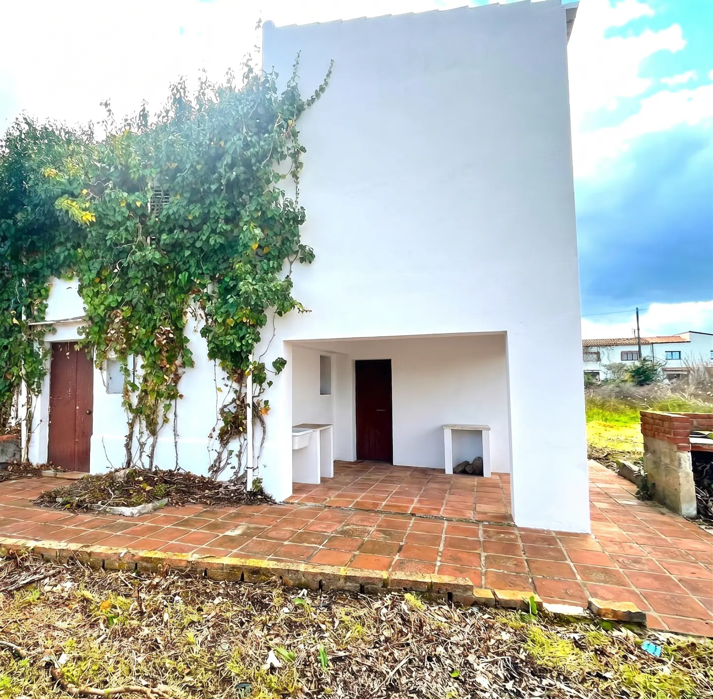 [AI-generated photo]