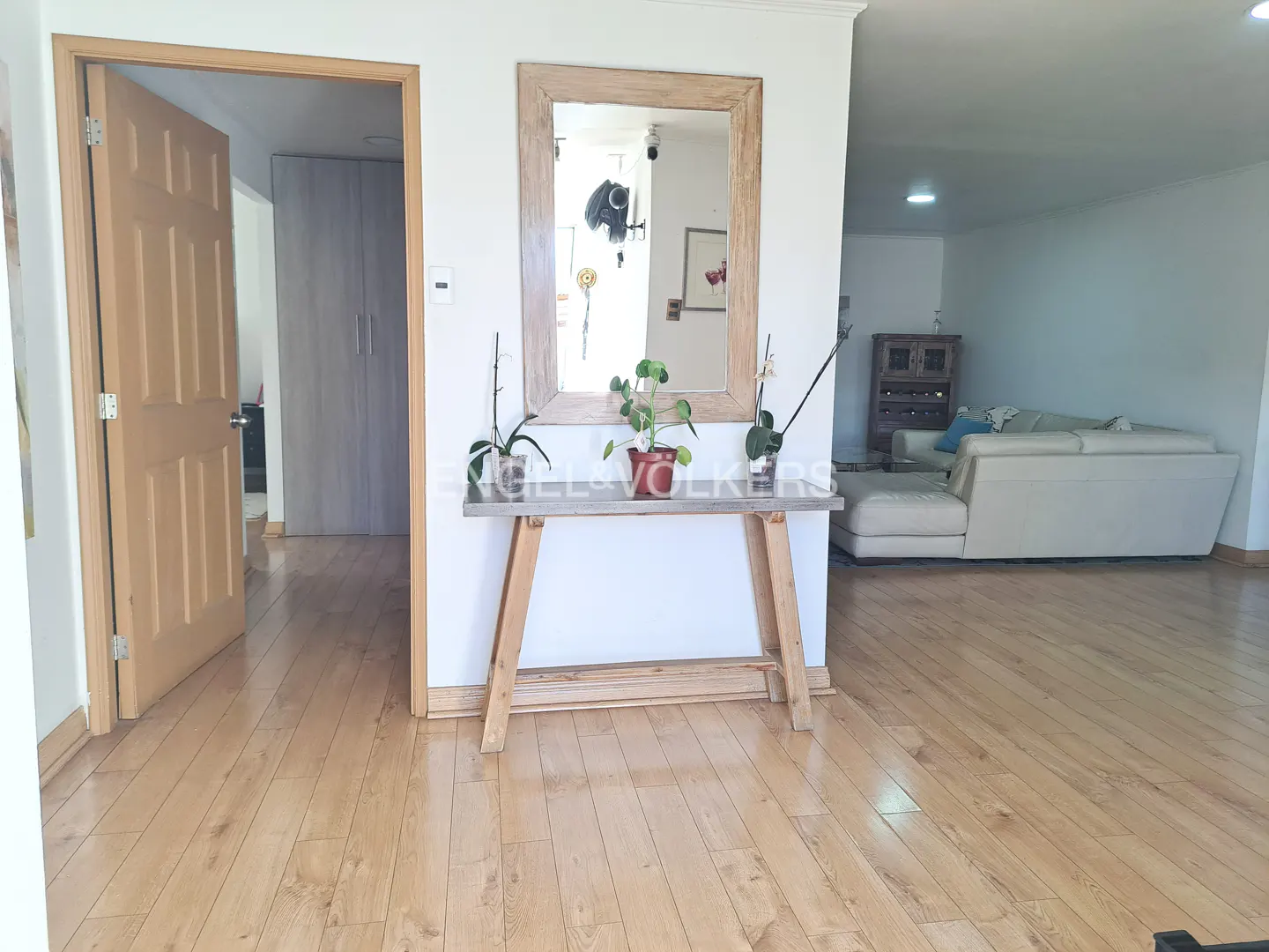 Entryway with light wood floors, a console table with plants, and a mirror. A doorway leads to another room. A white sofa is visible in the background.
