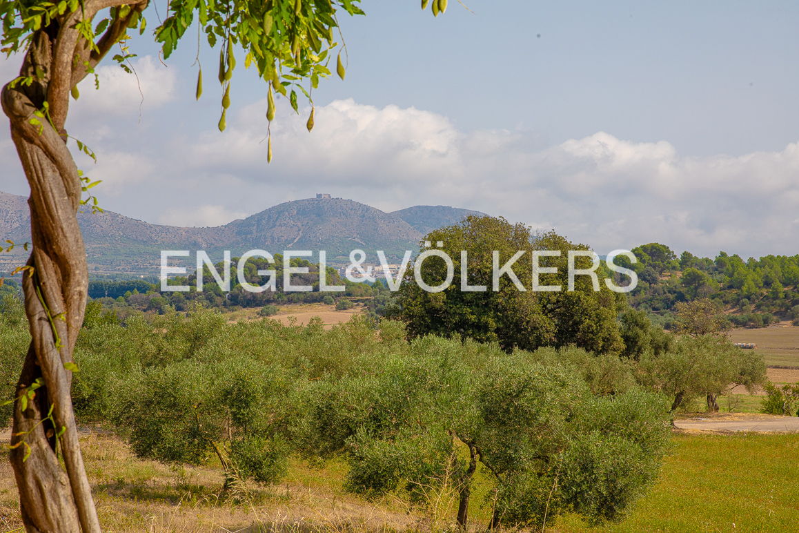 Unique 1.5-hectare property in l'Empordanet