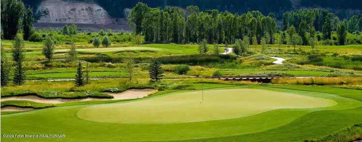 A scenic view of a lush green golf course with trees and mountains in the background.