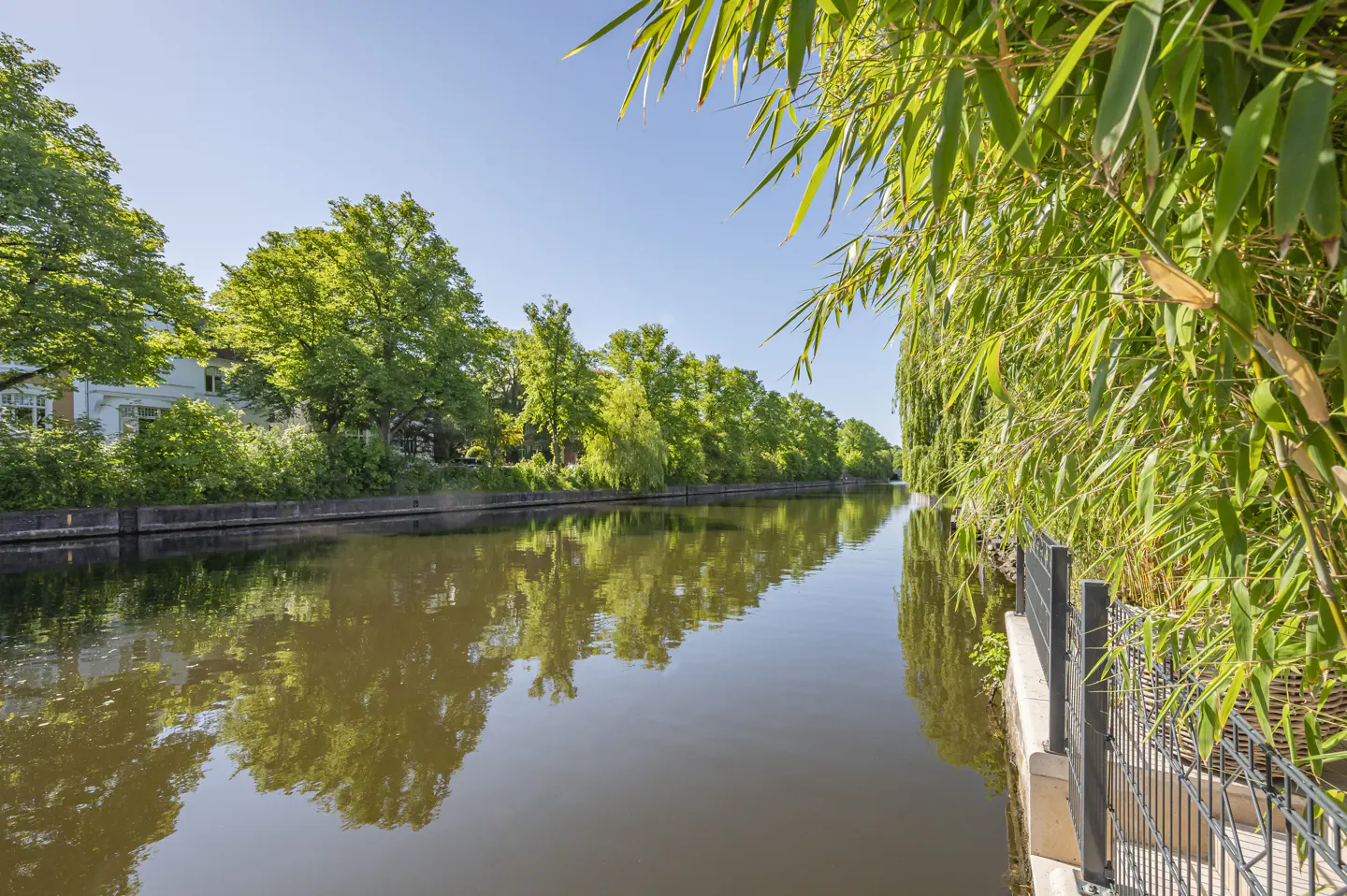 A calm canal reflects lush green trees under a clear blue sky, with bamboo plants in the foreground along a metal fence.