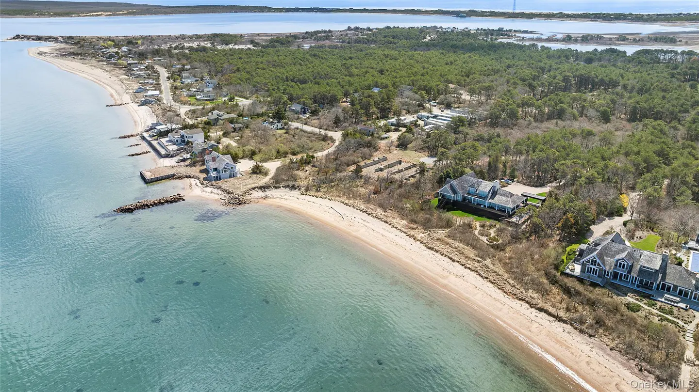 Aerial view of waterfront homes on a sandy beach next to a forest and blue water.