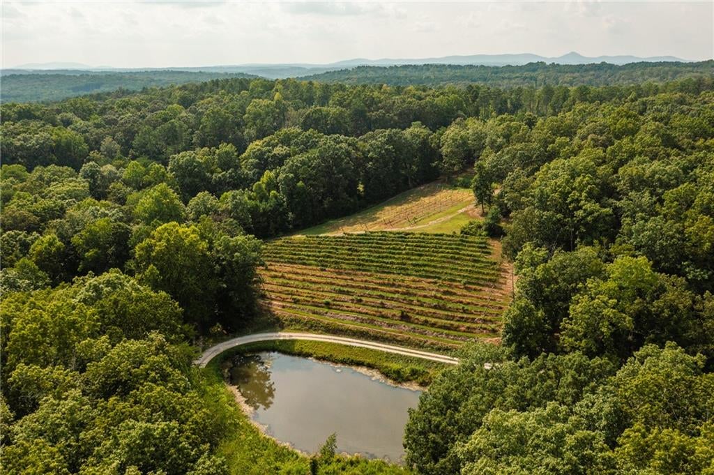 Artist-Crafted Estate, Winery and Mixed-Use Property on 23.6