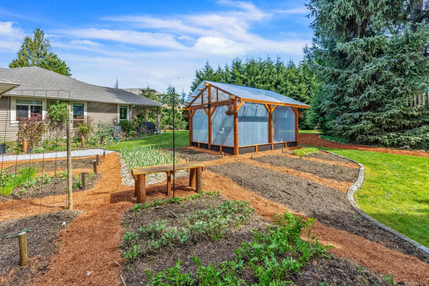 A backyard garden with a wooden greenhouse, raised beds, and a bench under a blue sky.
