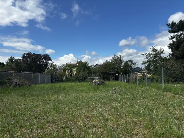 A grassy, undeveloped plot of land under a bright blue sky with scattered clouds, bordered by trees and a wire fence.