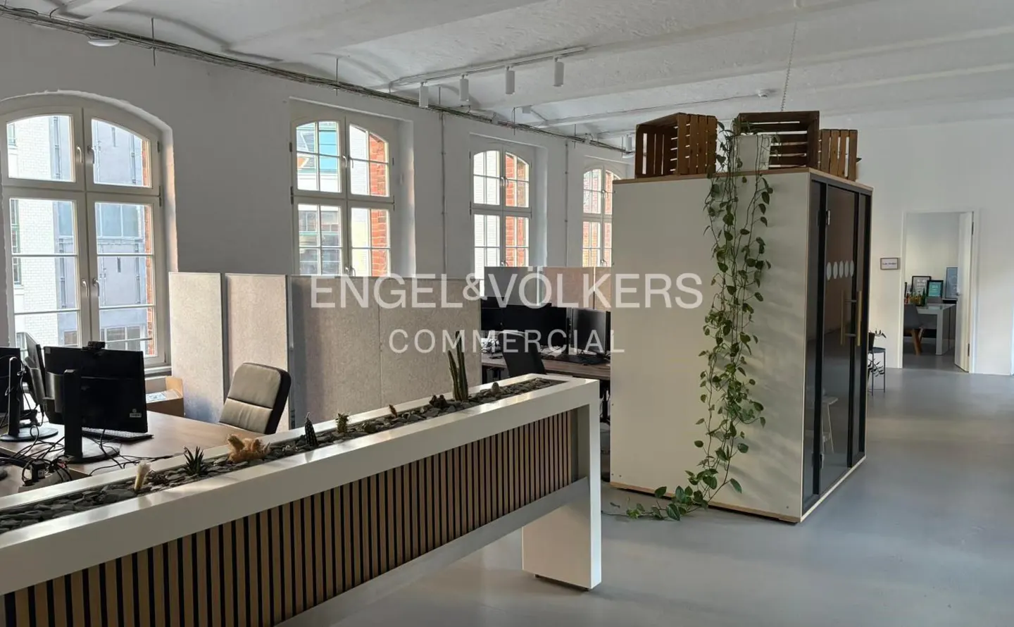 Bright office space with desks, computers, and plants. Large windows let in natural light. Engel & Volkers logo visible.