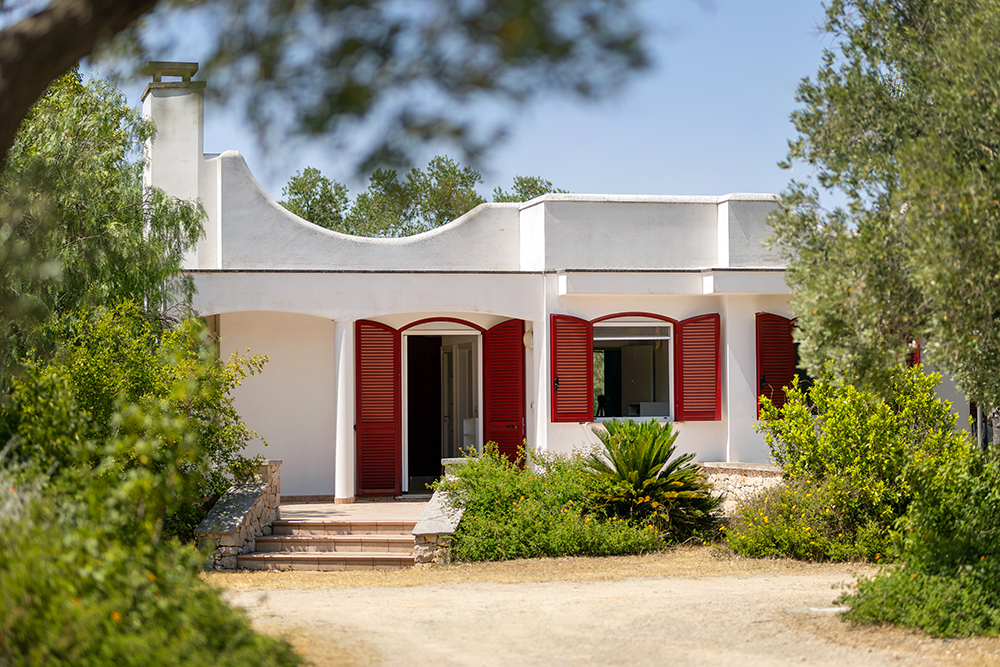 Villa set in an olive grove just minutes from the sea