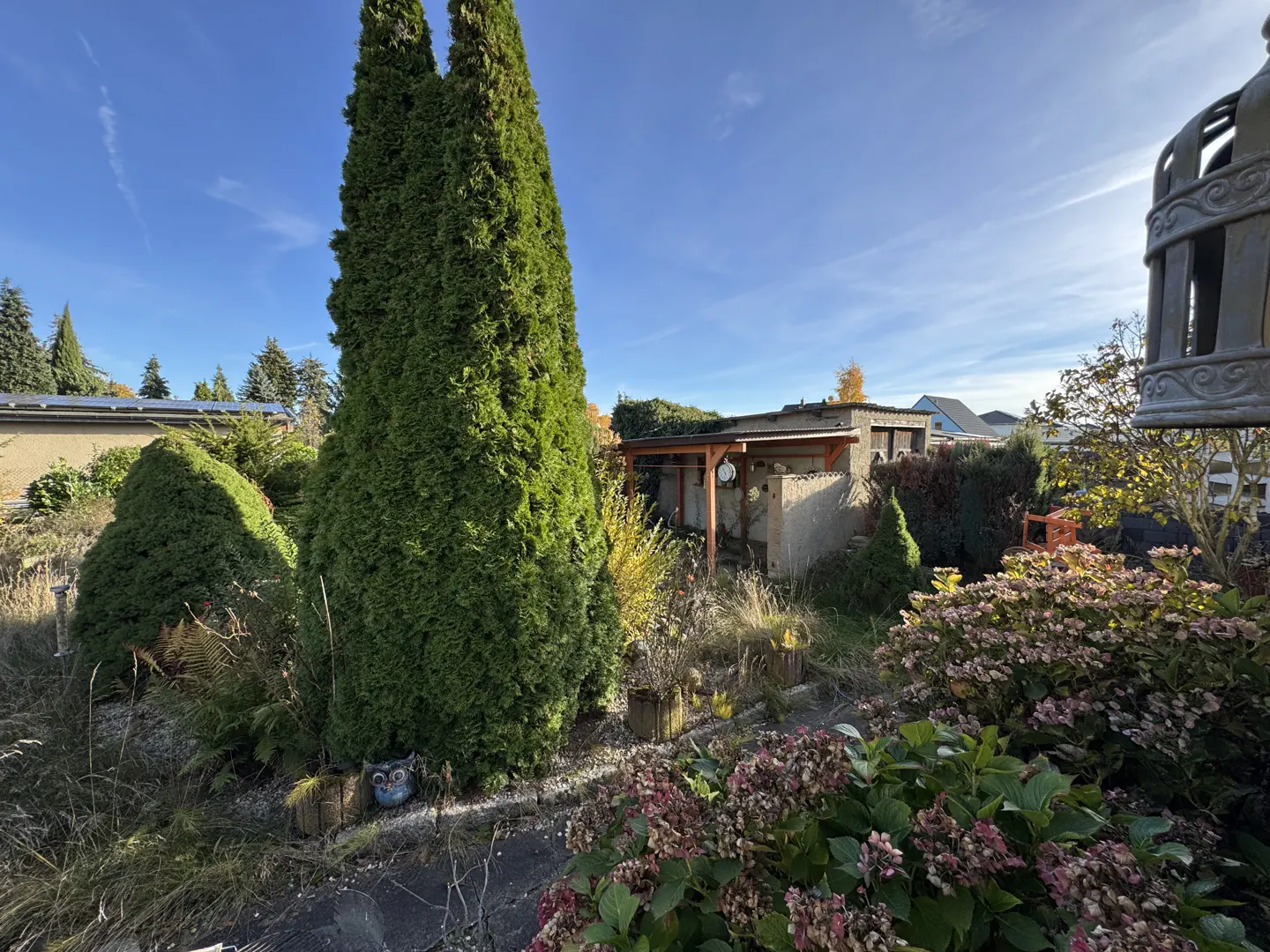 A backyard garden with tall green trees, pink hydrangeas, and a small shed under a blue sky.
