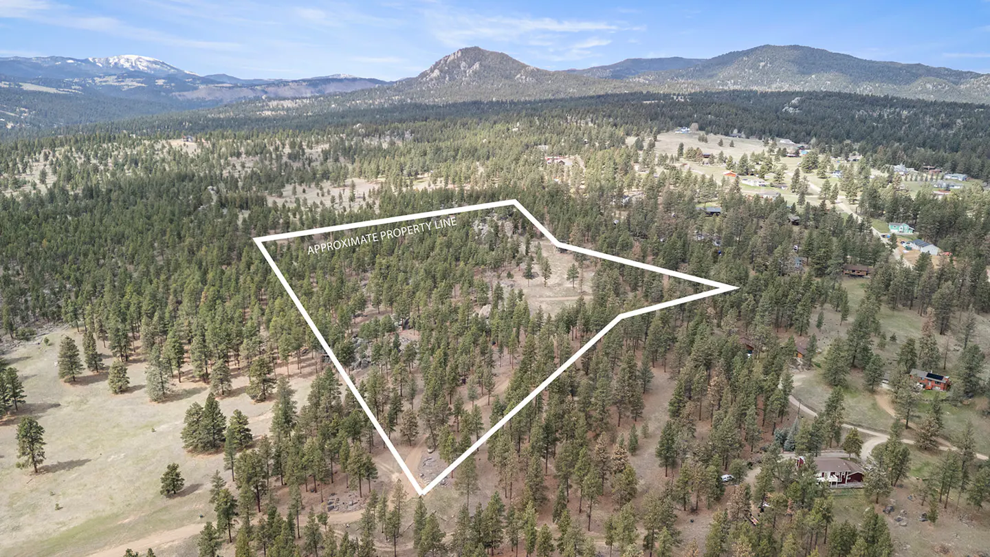 Aerial view of a wooded property outlined in white, with mountains in the background.
