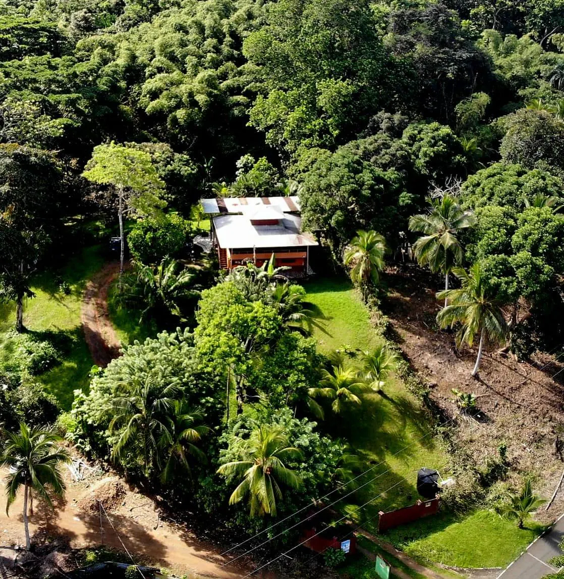 Aerial view of a brown house with a white roof surrounded by lush green trees and vegetation. A dirt road leads to the property.