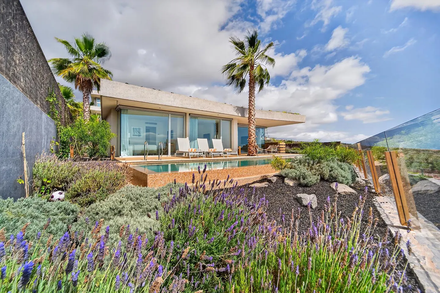 Modern villa with a pool and palm trees. Lavender bushes in the foreground. Blue sky with clouds.