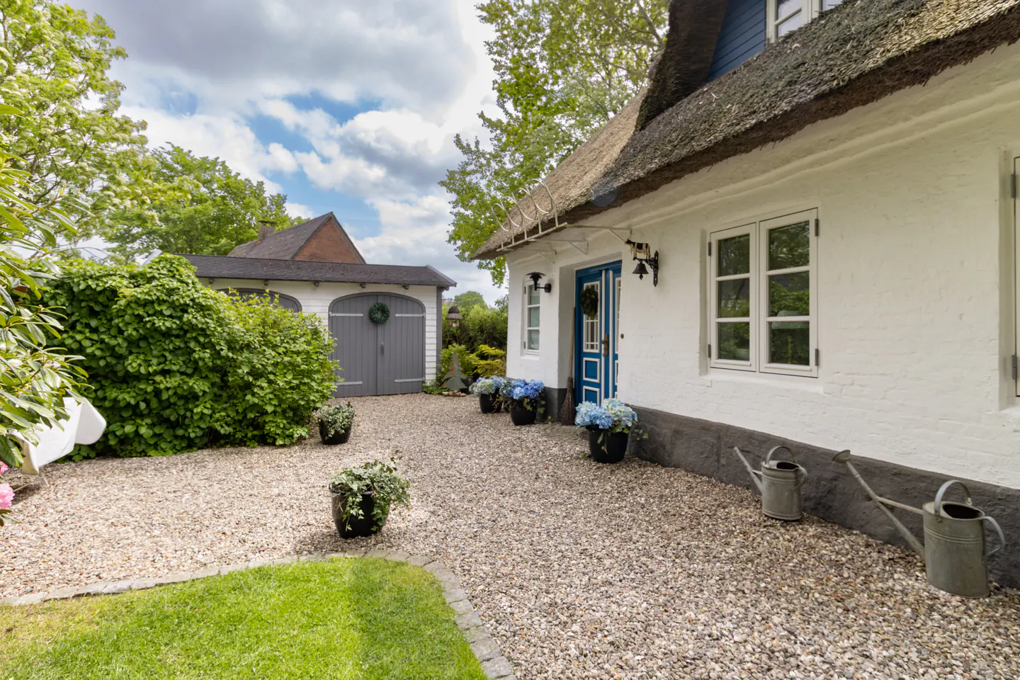 White cottage with a thatched roof, blue door, and gravel courtyard featuring potted blue hydrangeas and metal watering cans.
