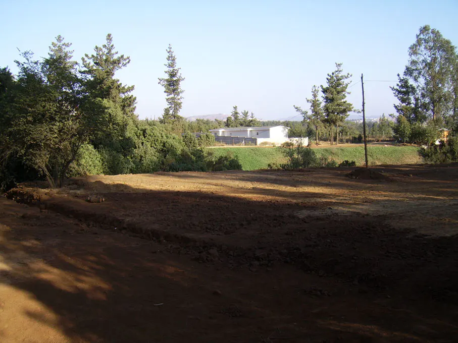 A sunny landscape with a dirt field, green trees, and a white building in the background.