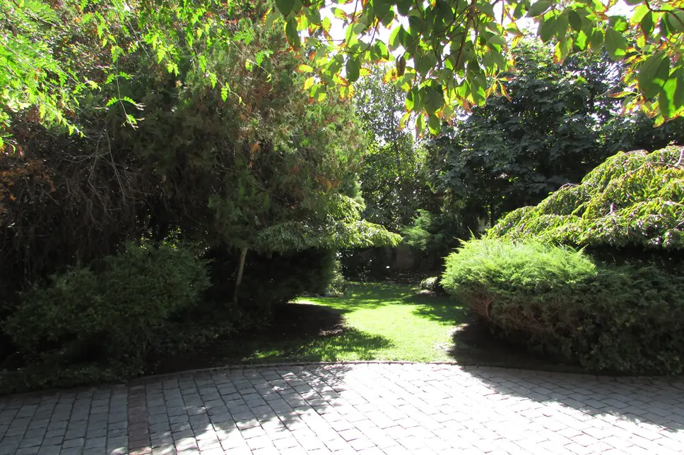 A lush green lawn surrounded by trees and bushes, viewed from a gray brick patio.
