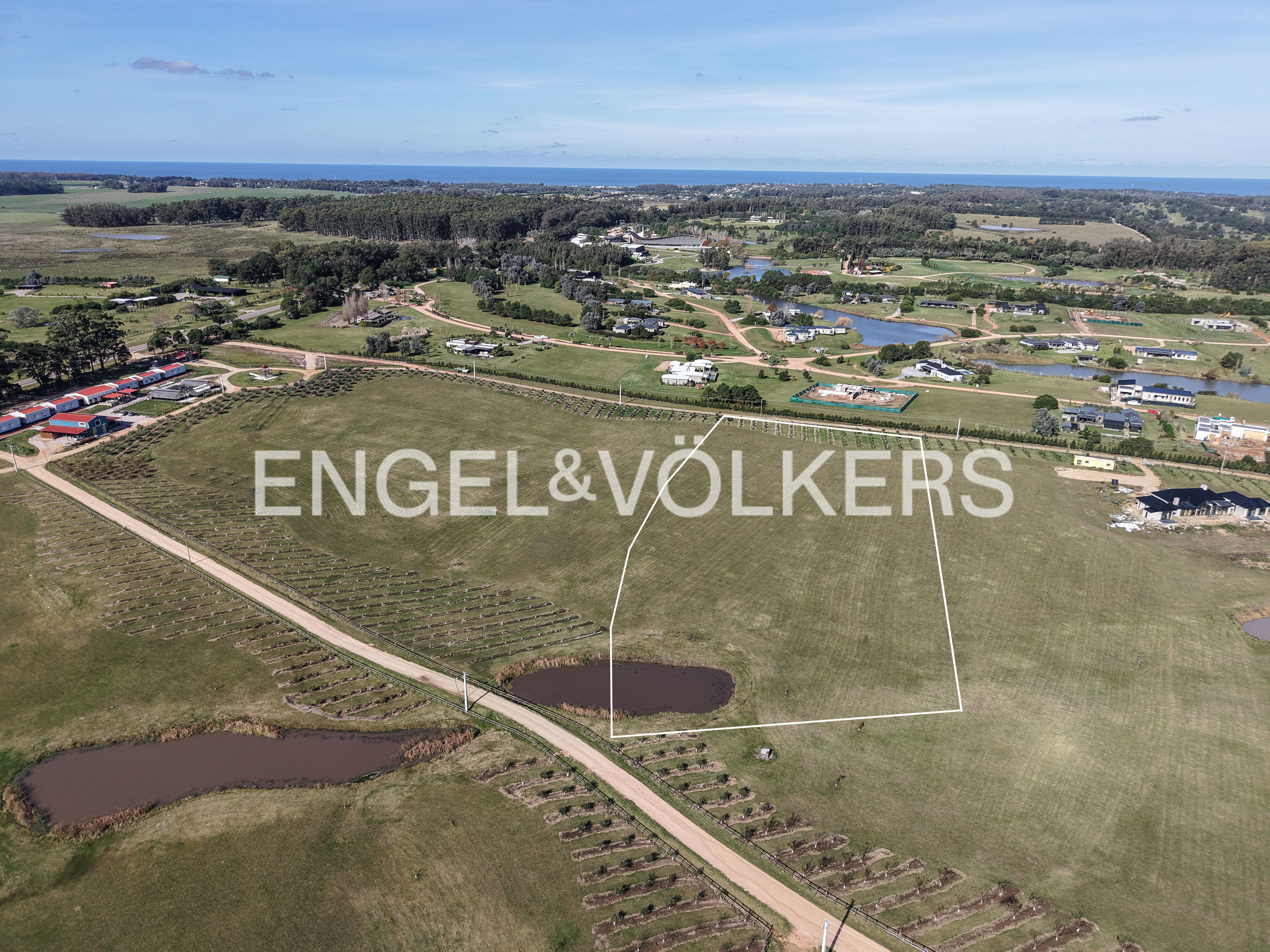 1.4-hectare farm in Plantación Narbona