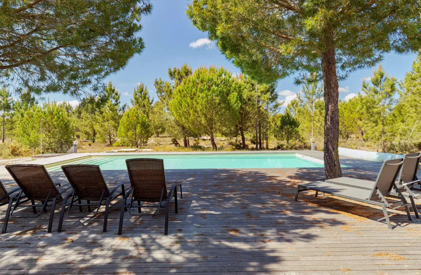 Outdoor pool with lounge chairs on a wooden deck, surrounded by green trees and a blue sky.