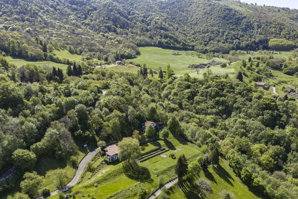 Aerial view of a lush green valley with a house nestled among trees and winding roads.