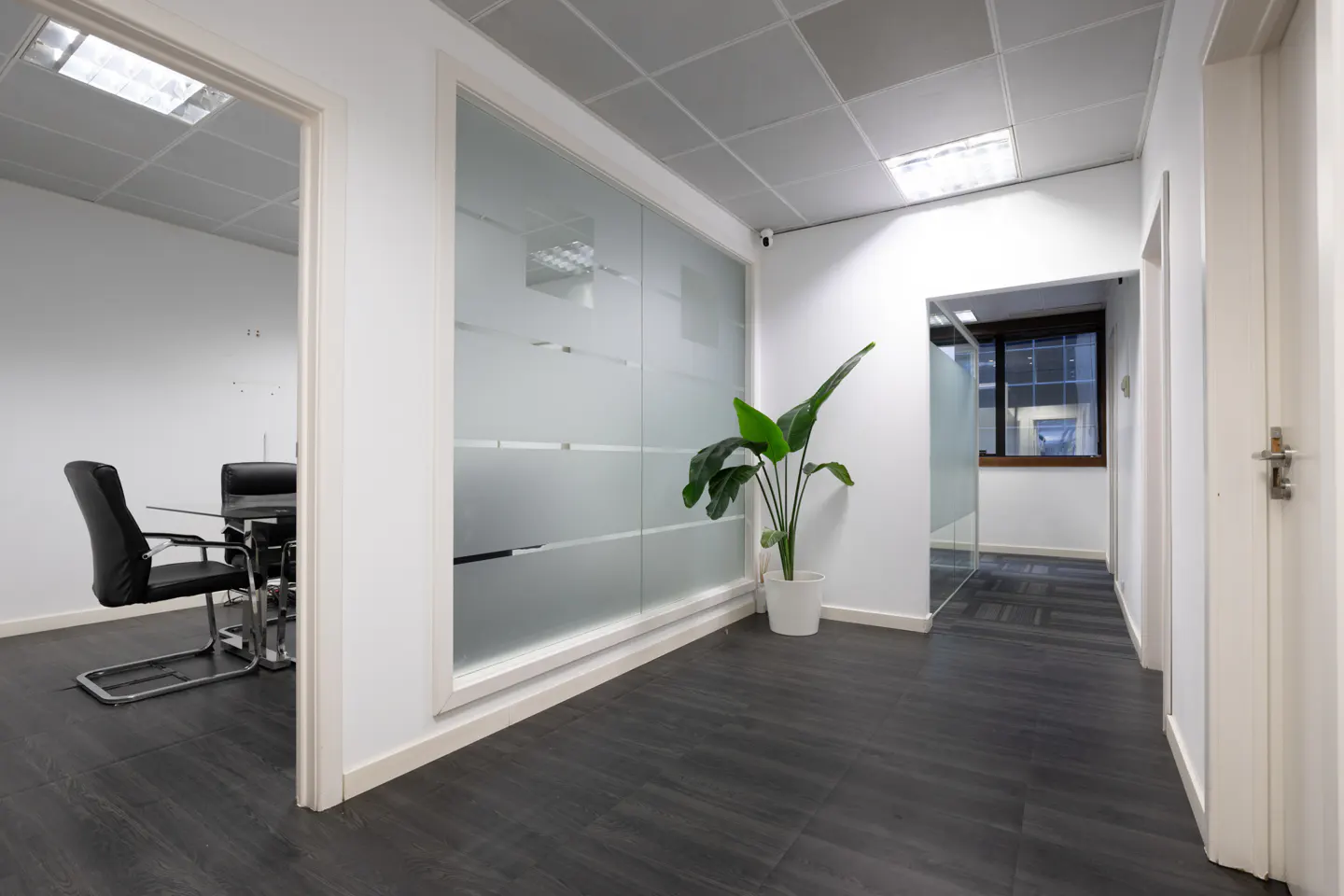 Office hallway with dark wood floors, white walls, and frosted glass. A green plant sits near the glass. A conference room is visible through a doorway.