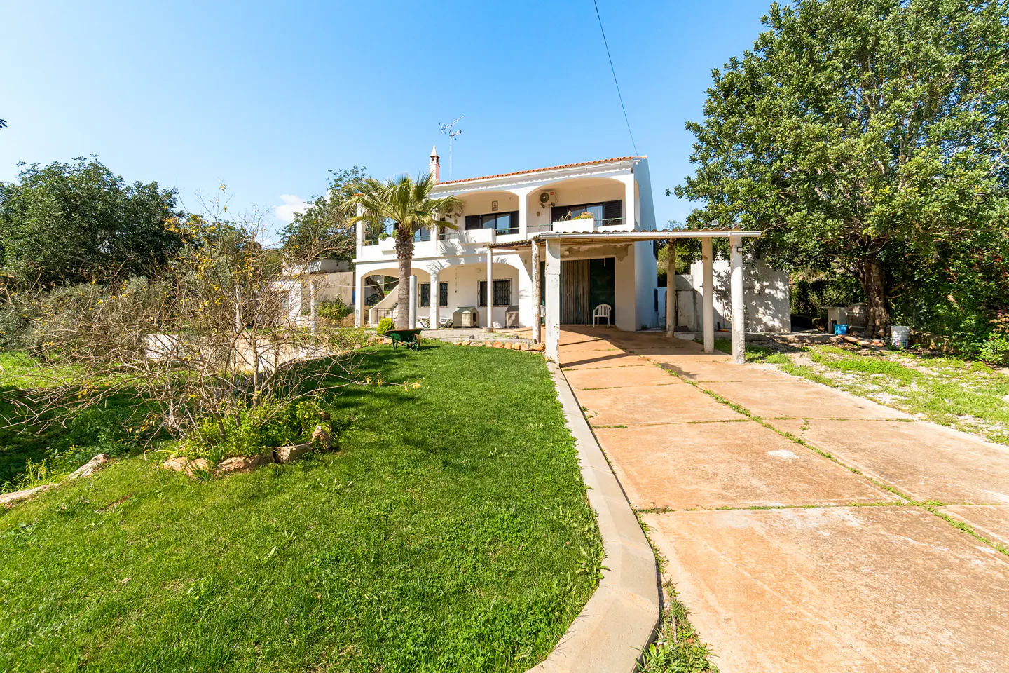 Two-story white house with a palm tree in the front yard and a concrete driveway on a sunny day.
