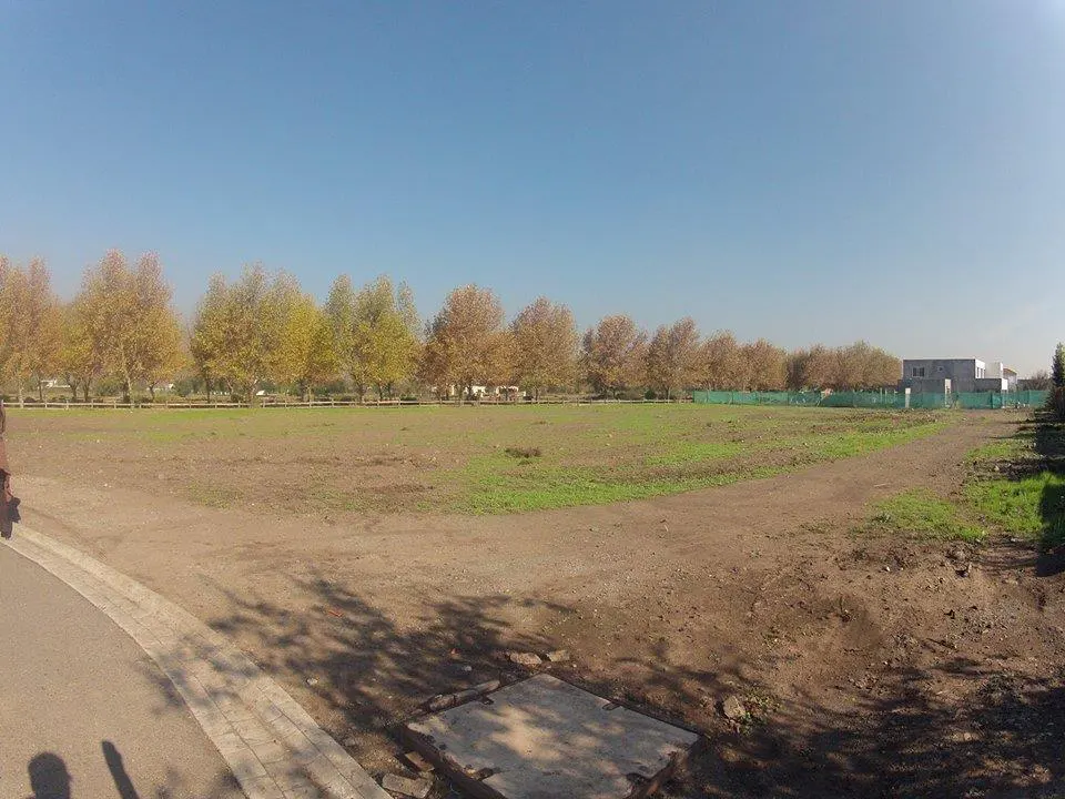 A wide shot of a vacant lot with trees in the background under a clear blue sky.