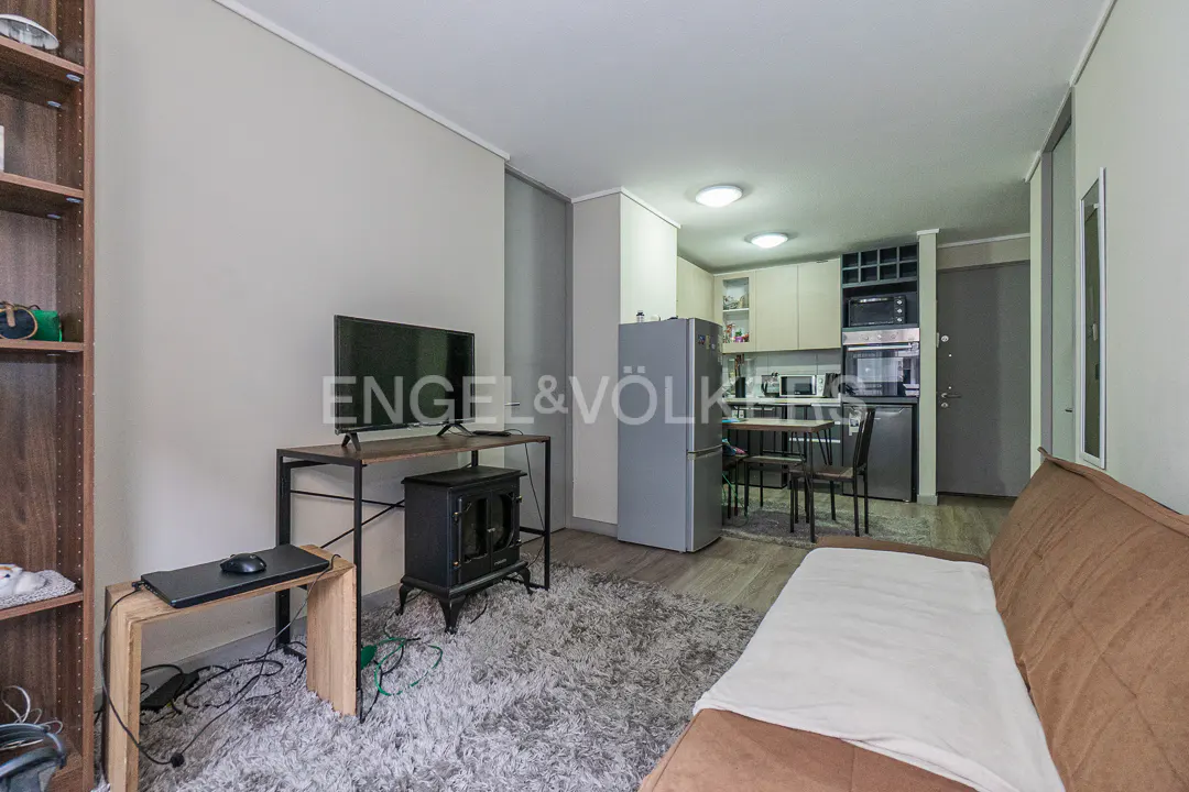Open-plan living area with a brown sofa, grey shag rug, TV on a metal stand, and a modern kitchen with stainless appliances.