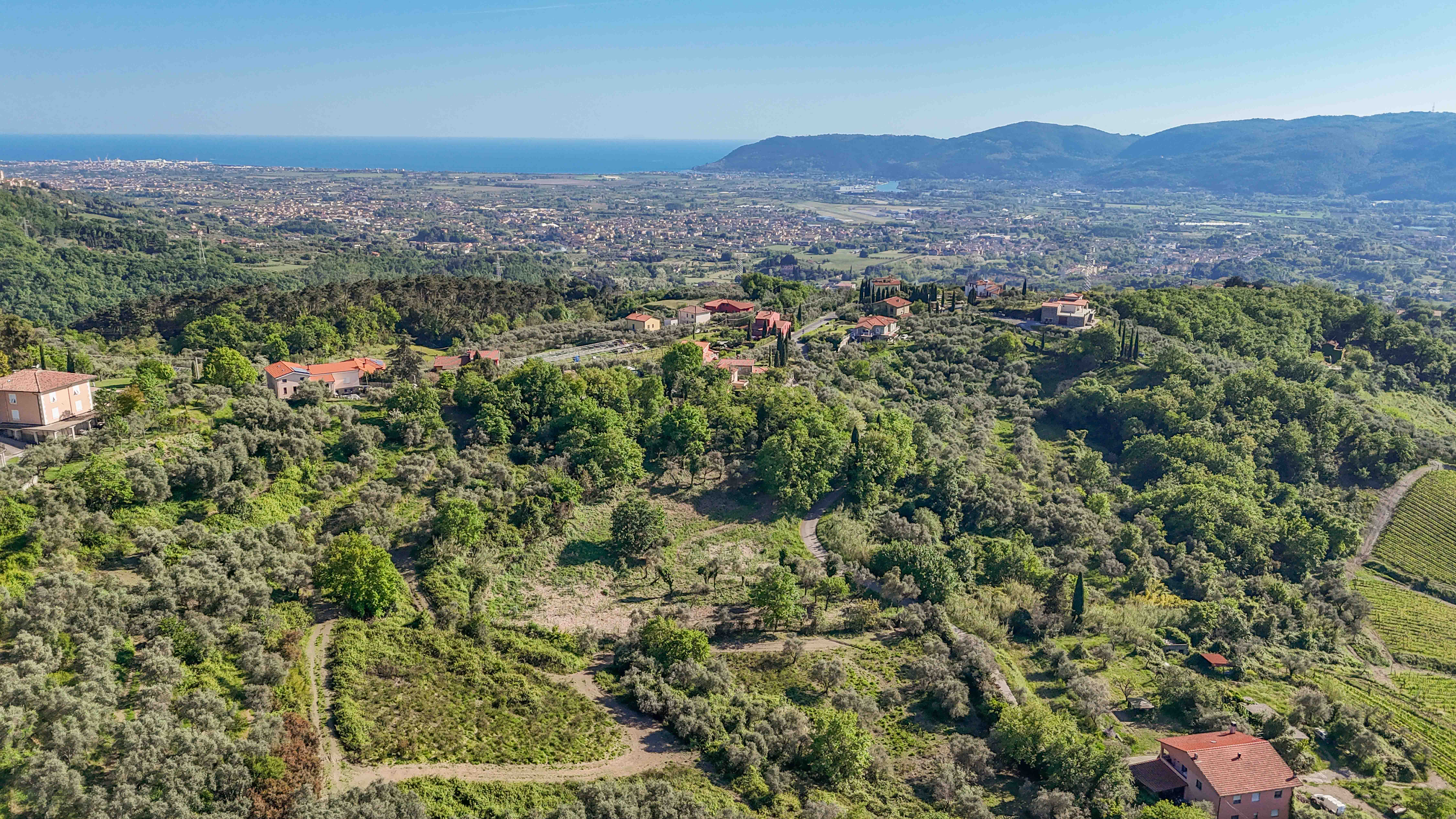 Grundstück in Panoramalage mit Olivenhain und Hotel-Projekt in Genehmigungsphase