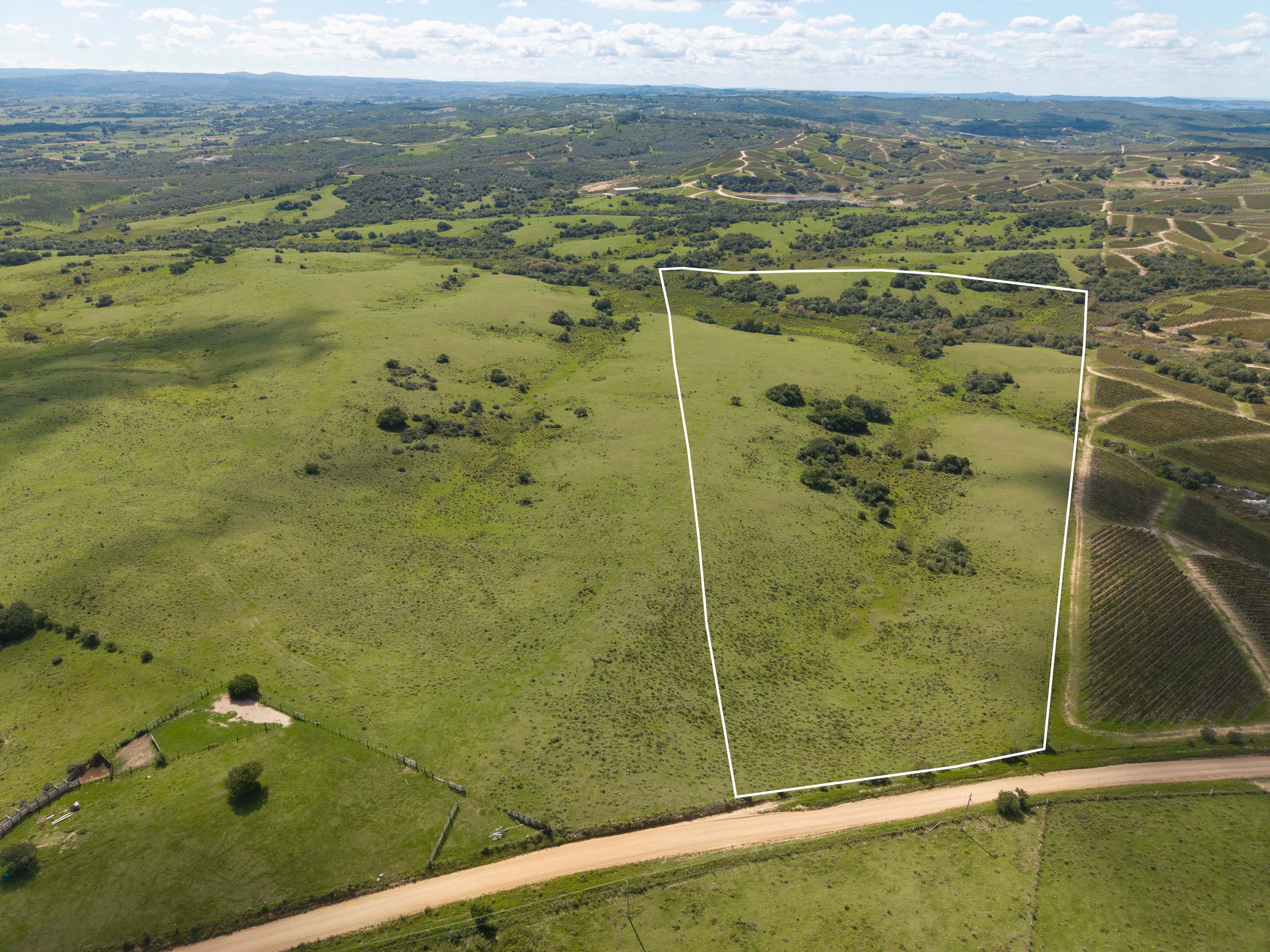 13-Hectare Farm near Bodega Garzón