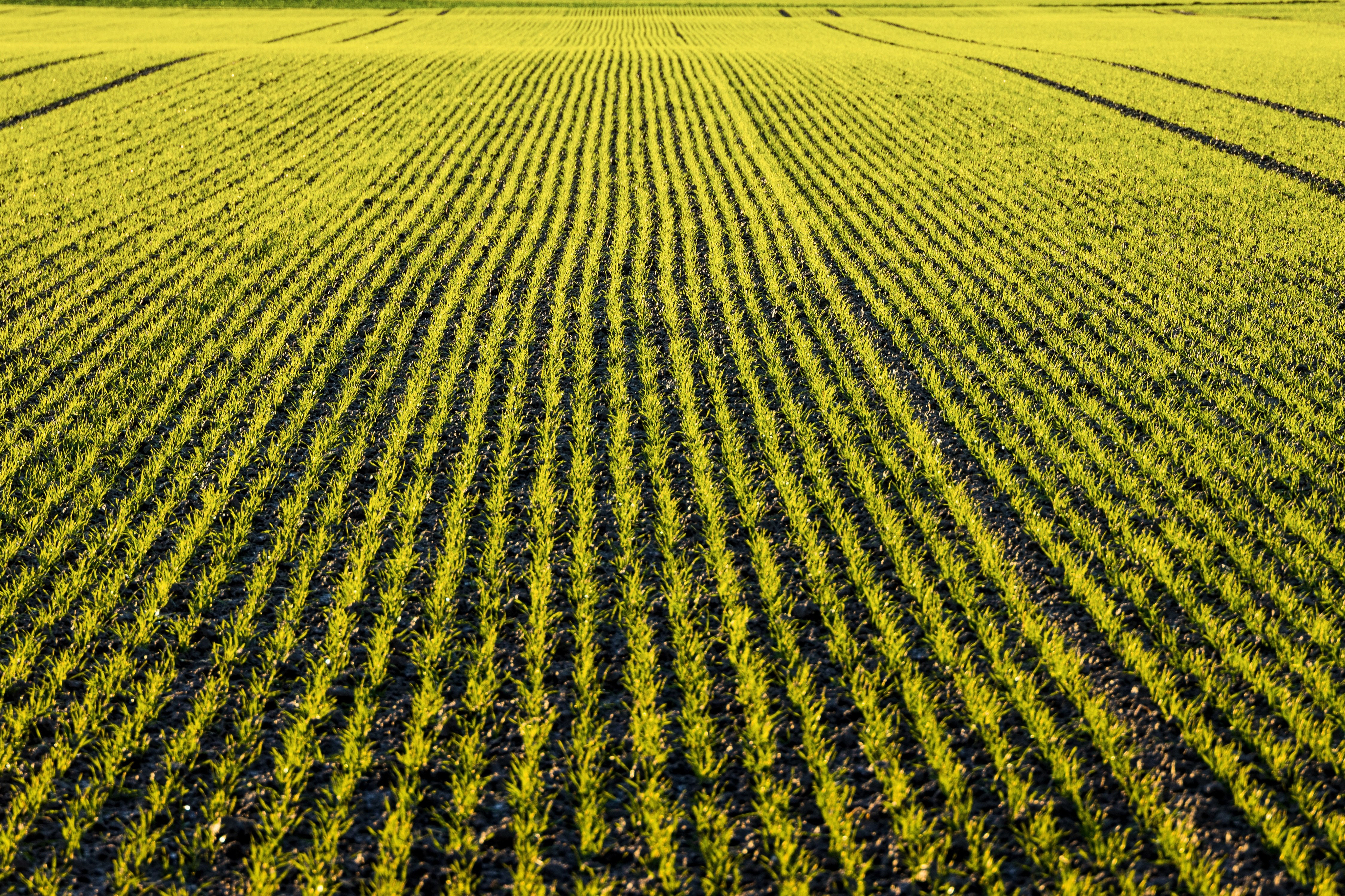 17,5 Hektar Landwirtschaftsland in Hostouň, Westböhmen