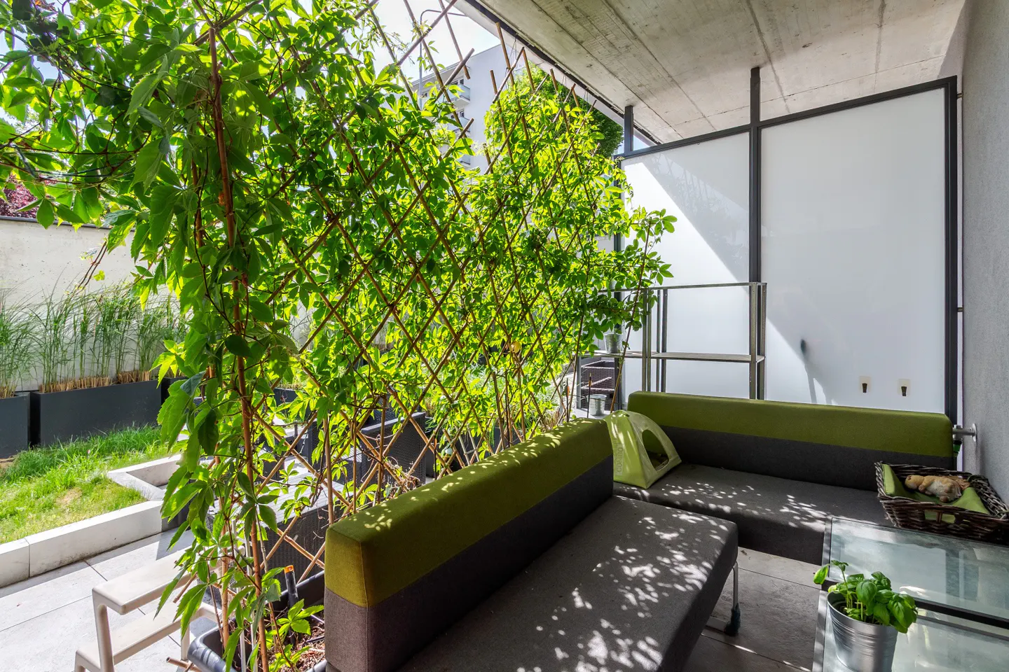 Modern balcony with a green and grey sofa, a glass table, and a wooden trellis covered in lush green climbing plants.