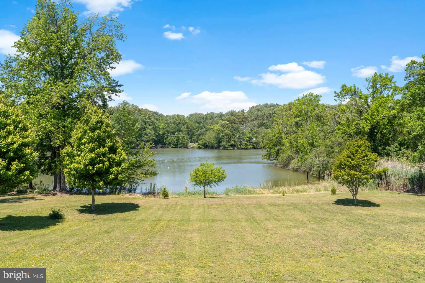 Scenic view of a lake surrounded by lush green trees under a blue sky with scattered clouds. A grassy lawn leads to the water's edge.