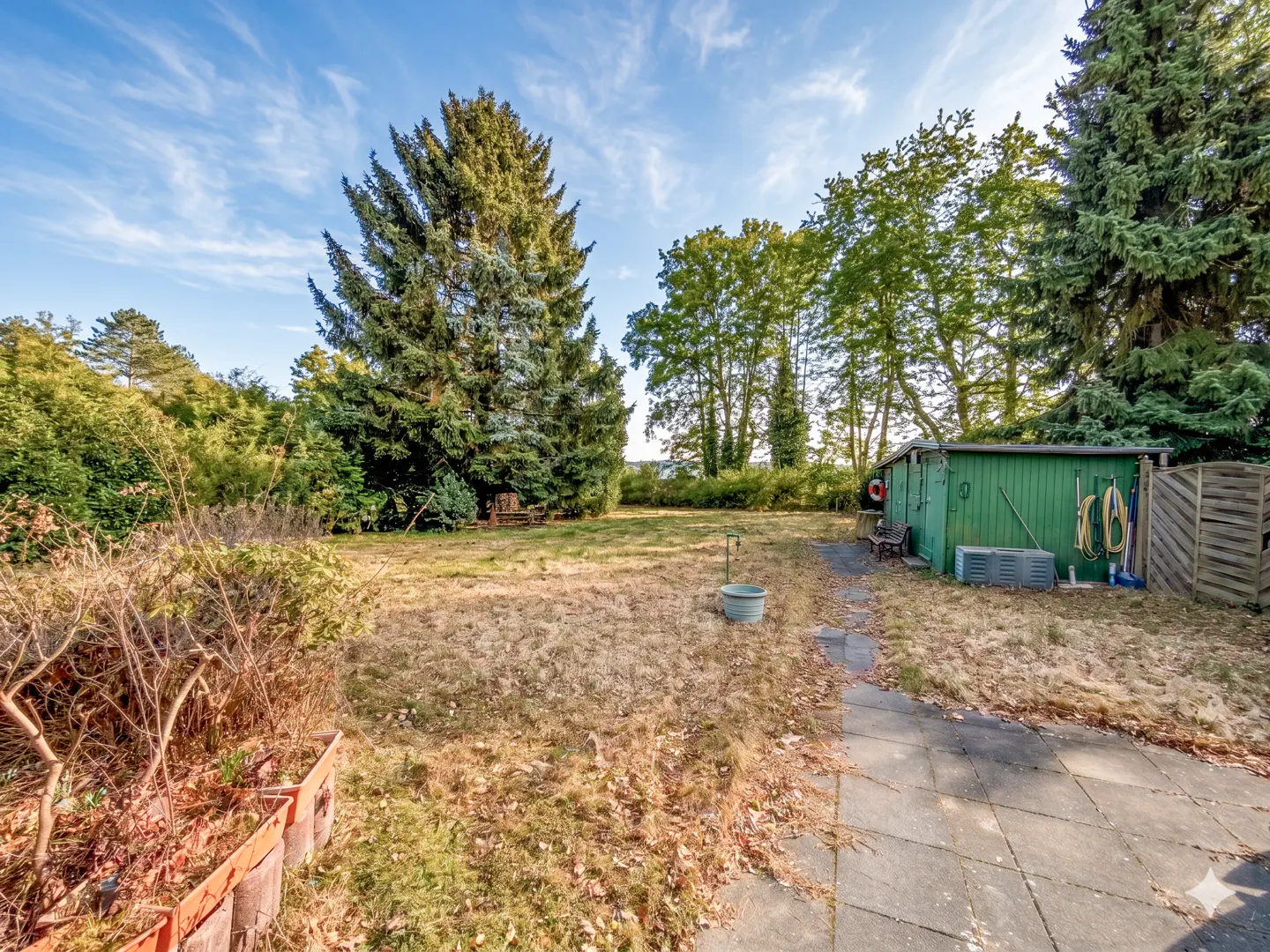 A backyard with a green shed, trees, and a patio. The grass is dry and there are leaves scattered around. The sky is blue with some clouds.