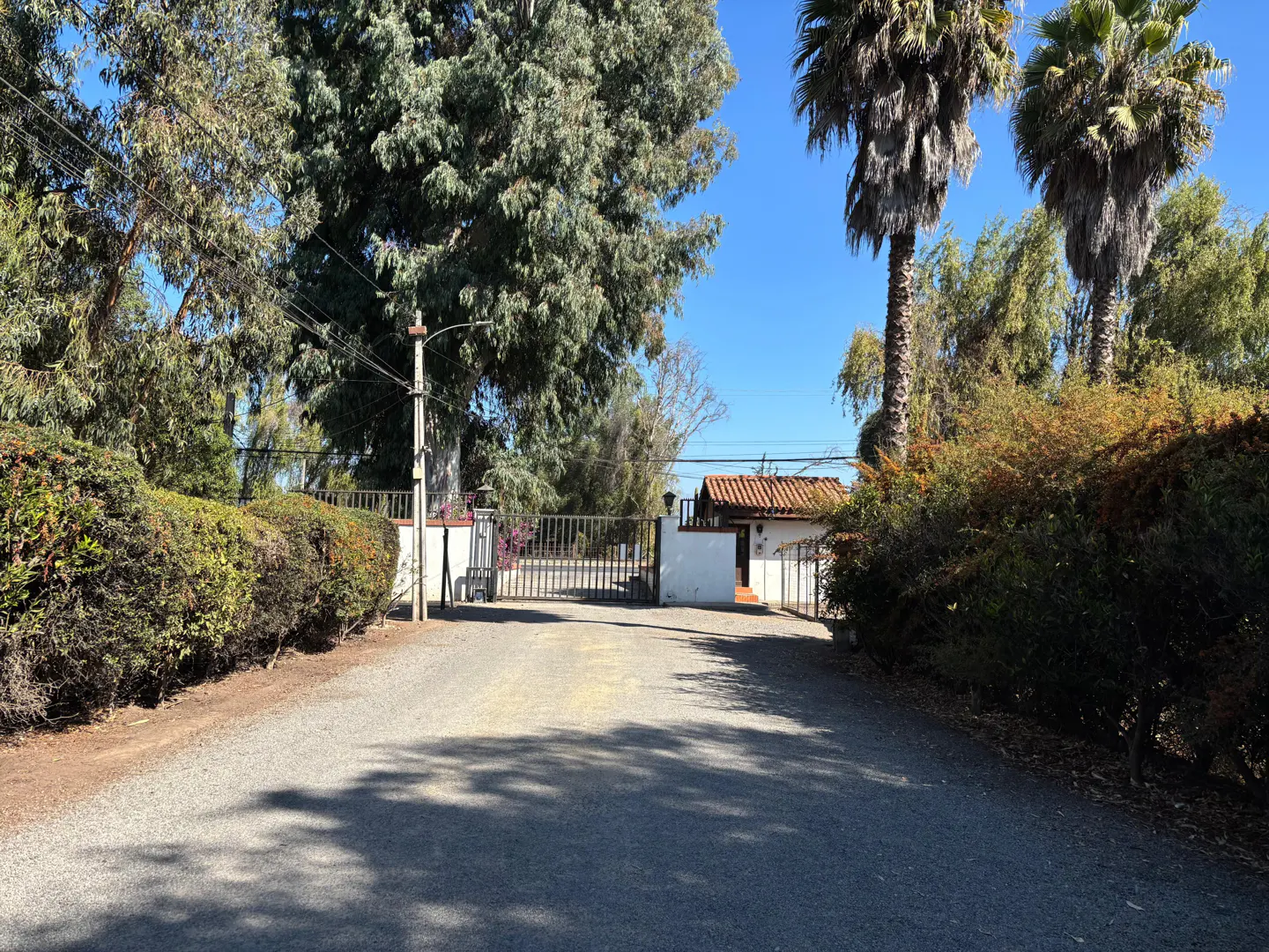 Gravel driveway leading to a gated property with lush greenery and palm trees under a clear blue sky.