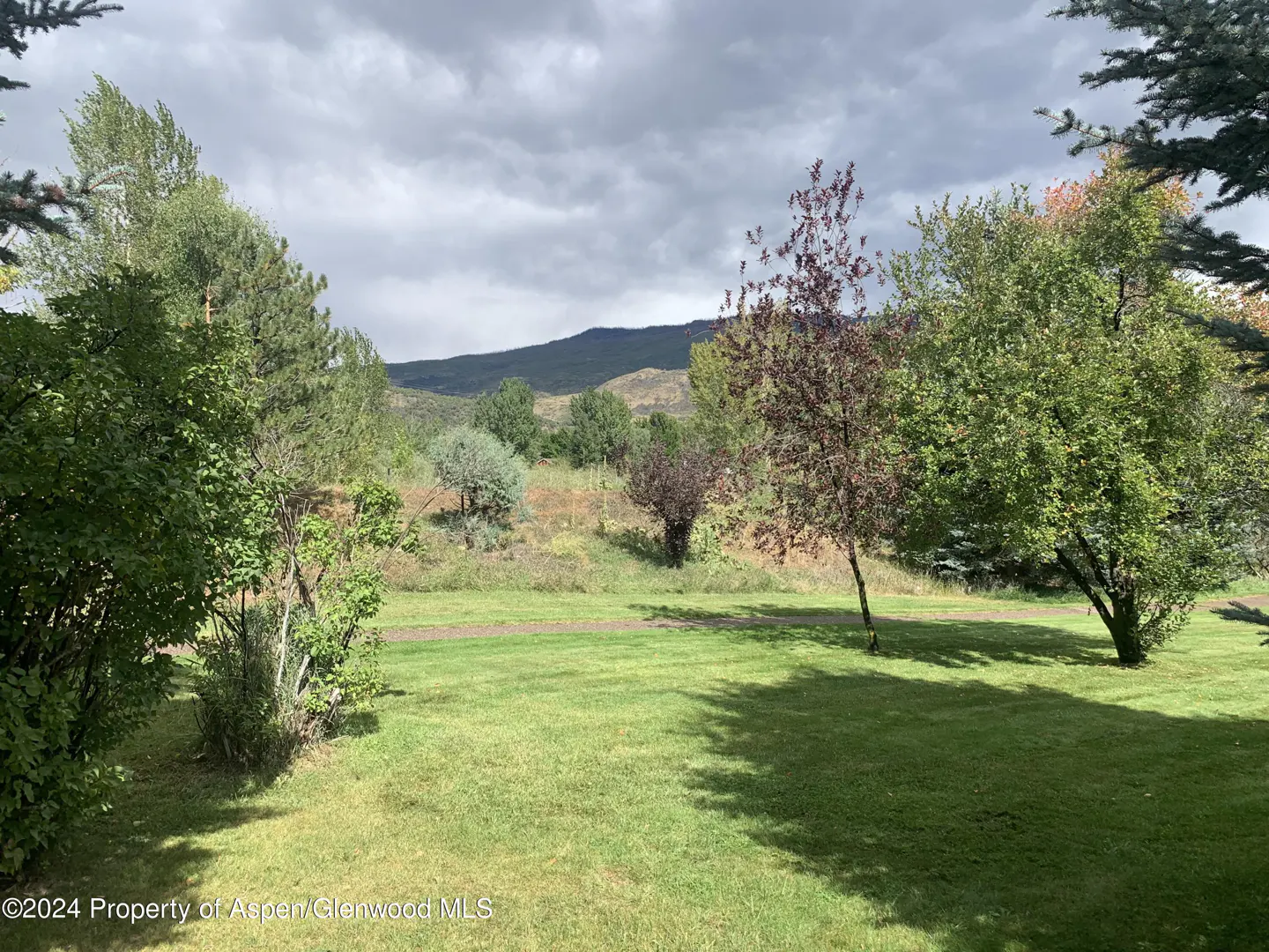 Lush green lawn with trees and mountain backdrop under cloudy skies.