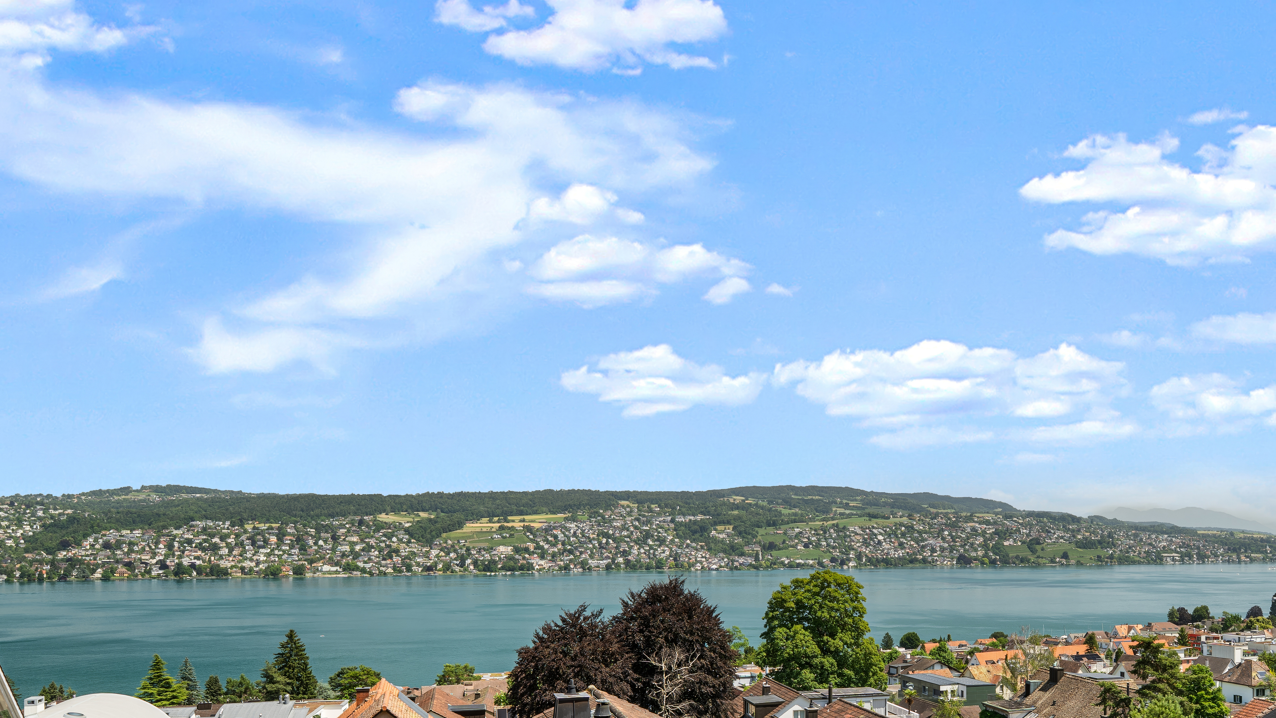 6.5-room rooftop duplex apartment with spectacular lake views in Rüschlikon