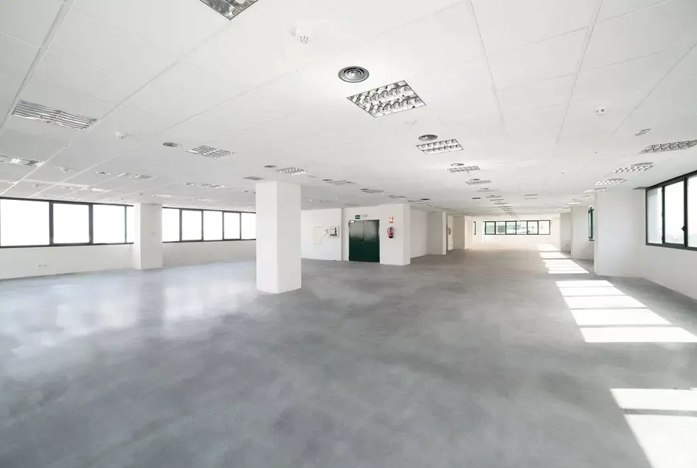 Bright, empty office space with gray floors, white walls, and large windows. Pillars support a white ceiling with recessed lighting.