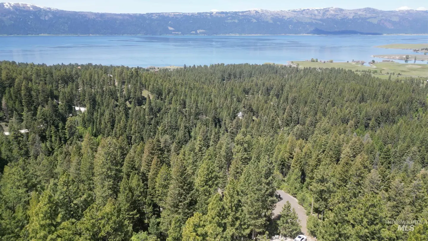 Aerial view of a dense green forest with a blue lake and snow-capped mountains in the background.