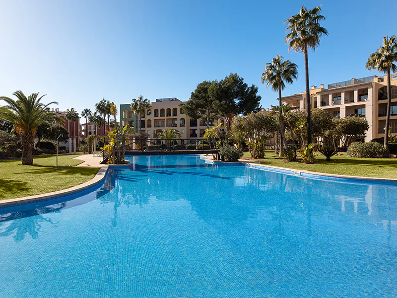 A bright blue pool with a bridge, surrounded by palm trees and buildings under a clear blue sky.