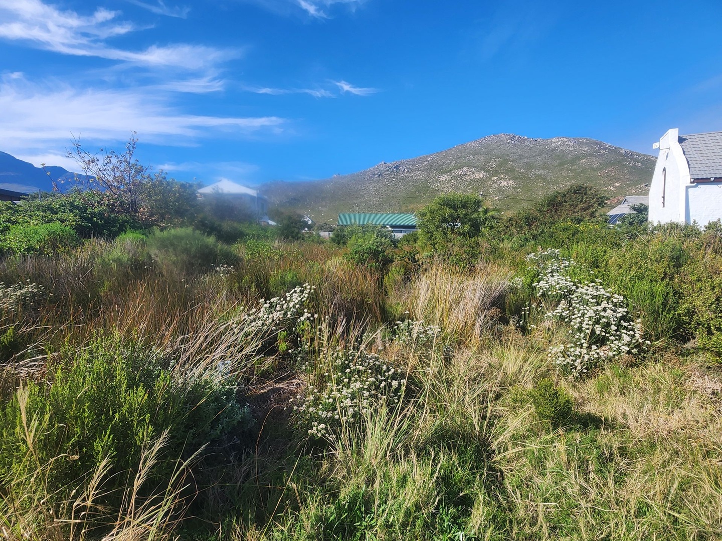 A stand apart...Your place in the fynbos