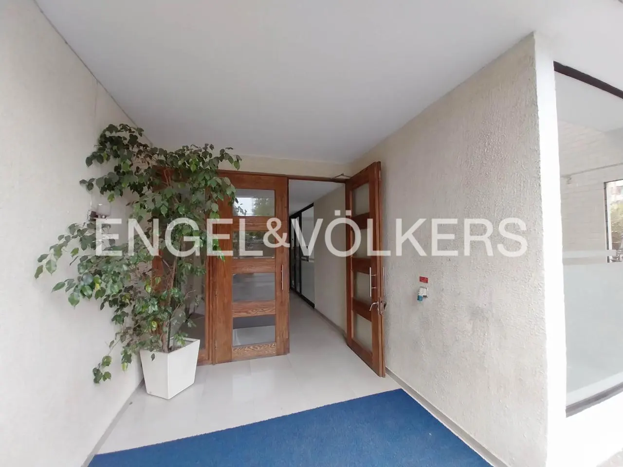 Entrance to a building with open wood doors, a blue mat, and a potted plant.